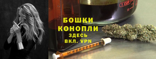 гашик Белоозёрский
