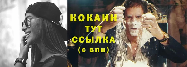 гашик Белоозёрский