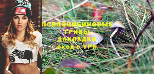не бодяженный Беломорск